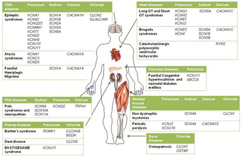 channelopathy examples.